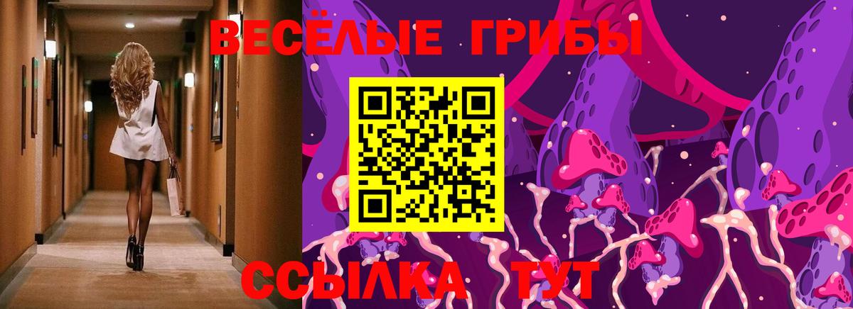 Галлюциногенные грибы Psilocybe Беслан